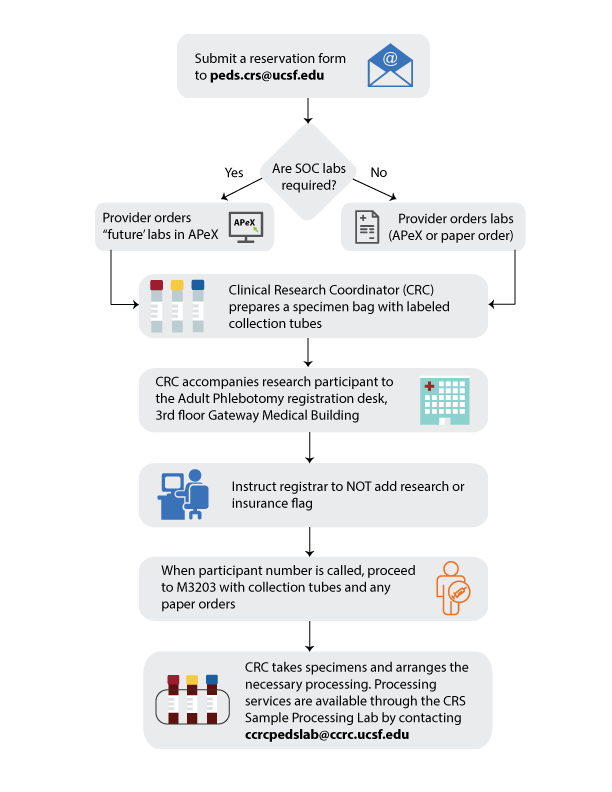 Adult Research Blood Draw Process Diagram